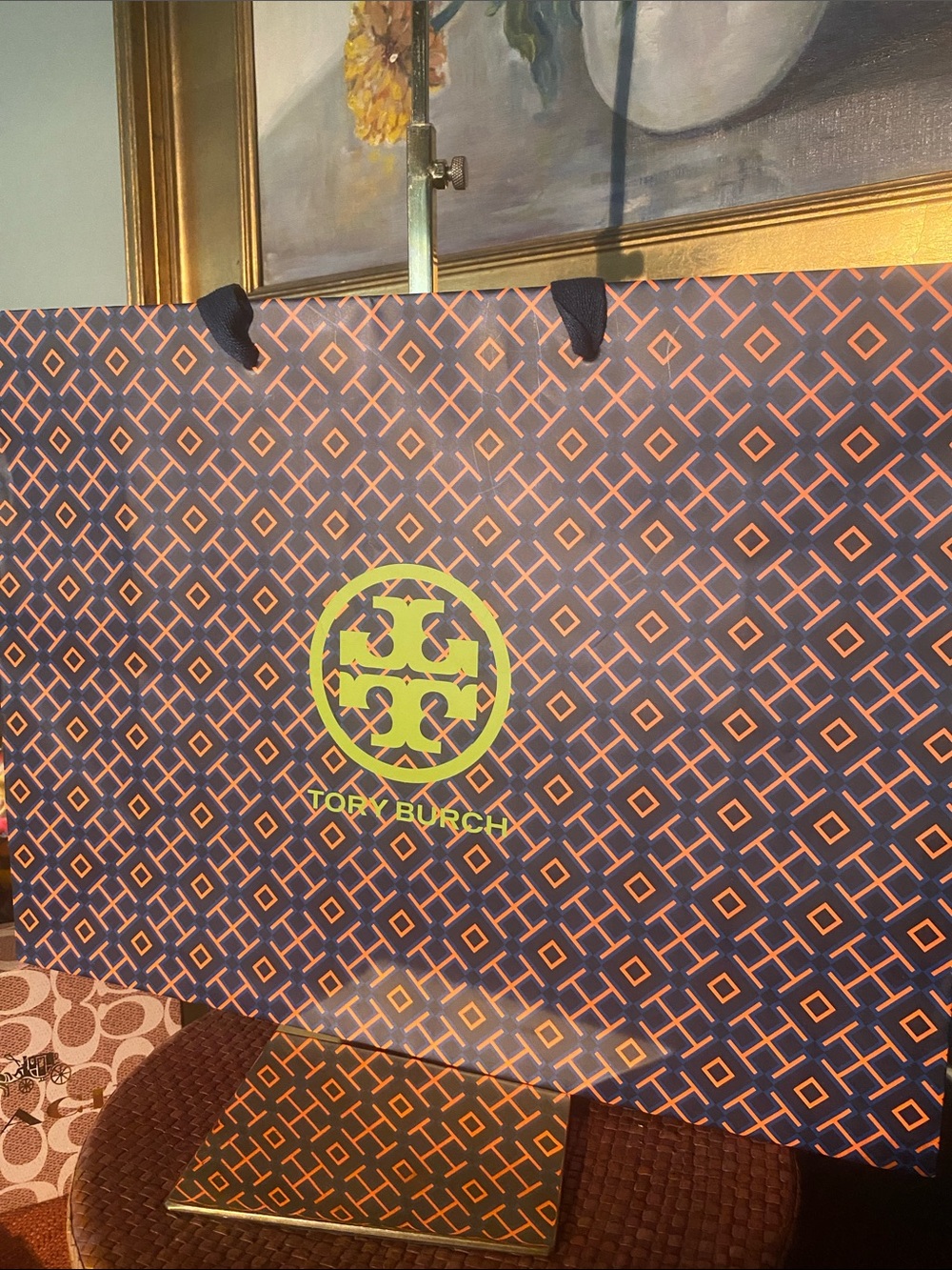 Tory Burch Gift Bag (Approximately 16x12x6)
New Never Opened